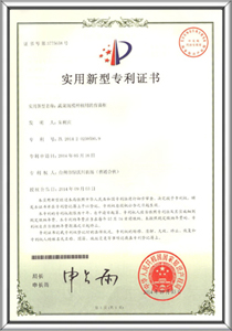 專利證書 6
