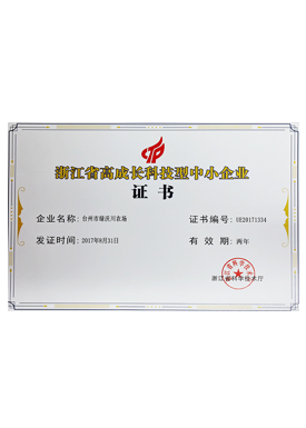 浙江省高成長(zhǎng)科技型中小企業(yè)證書(shū)