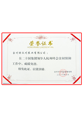 G20榮譽(yù)證書(shū)